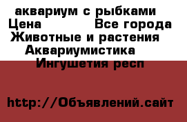 аквариум с рыбками › Цена ­ 1 000 - Все города Животные и растения » Аквариумистика   . Ингушетия респ.